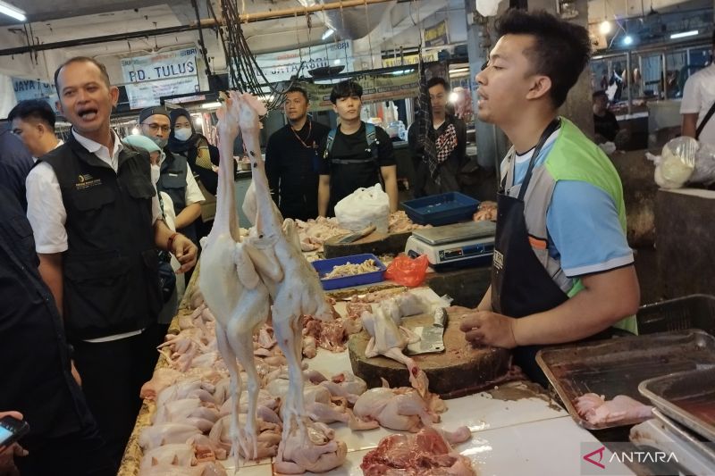 Pemkot Bandung: Ayam jadi penyumbang inflasi