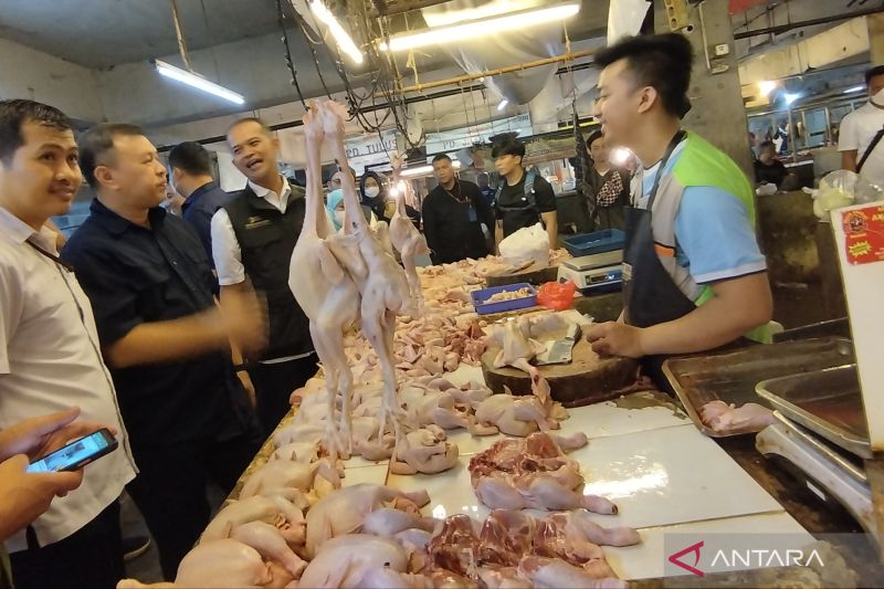 DKPP Bandung: Stok daging ayam surplus meski jadi penyumbang inflasi