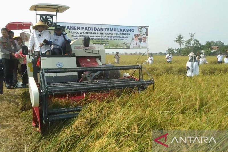 Wamentan dorong Karawang terus jaga produktivitas pertanian