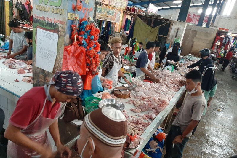 Harga ayam naik di Tanjungpinang tidak terkait ekspor ke Singapura