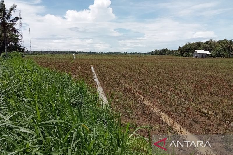 Antisipasi kekeringan lahan pertanian, Bantul siapkan pompa air