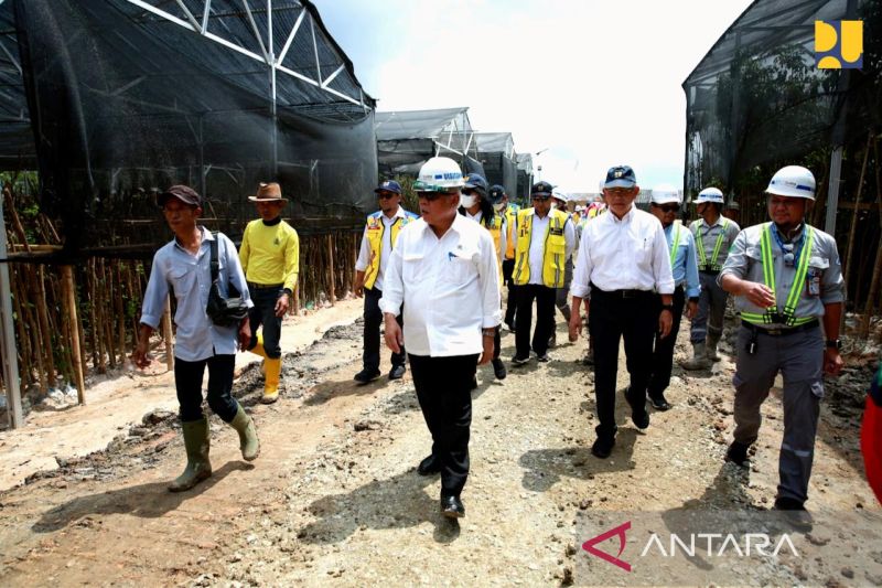 Ministry to plant 52,000 trees on IKN toll road corridor - Vimarsana News