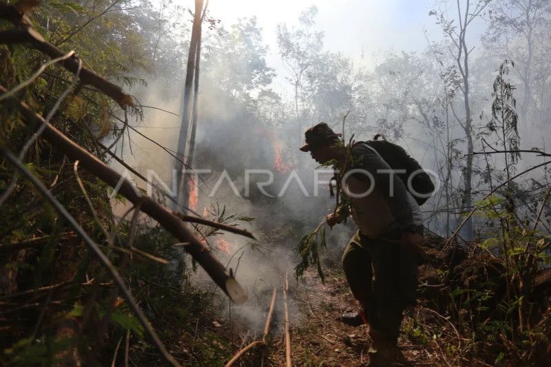 BPBD Kuningan petakan kawasan hutan Gunung Ciremai yang rawan kebakaran