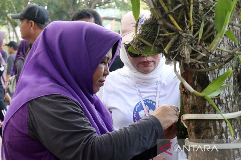 Masyarakat berharap anggrek bulan Pelaihari Kalimantan Selatan tidak punah