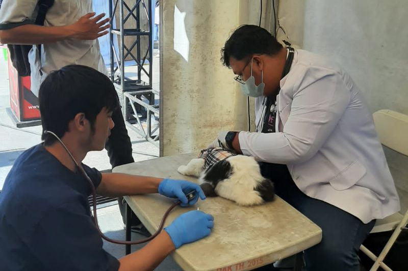 Dinas Garut siapkan vaksin rabies gratis untuk hewan peliharaan