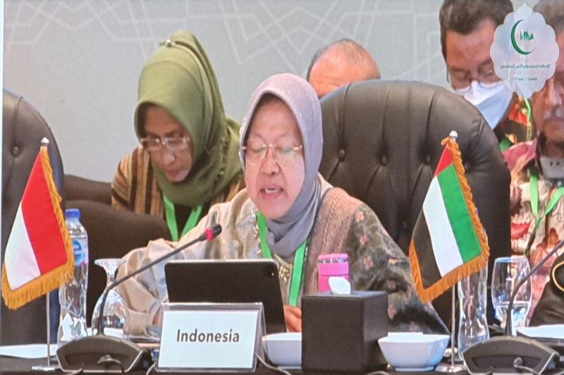 Minister details Indonesian gov't's social programs at IOC forum - Vimarsana News