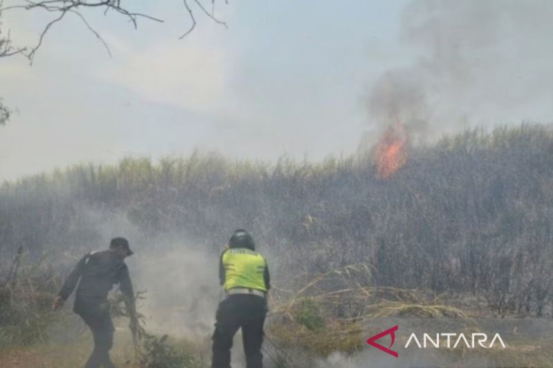 Dinas Kebakaran Purwakarta siaga penuh dan waspadai karhutla dampak El Nino