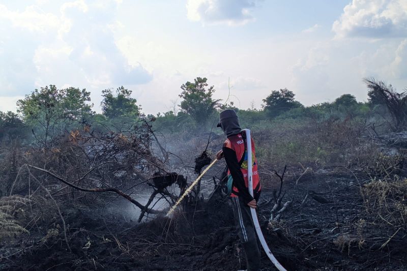 BPBD Palangka Raya catat 21 hektare lahan gambut terbakar dari Januari