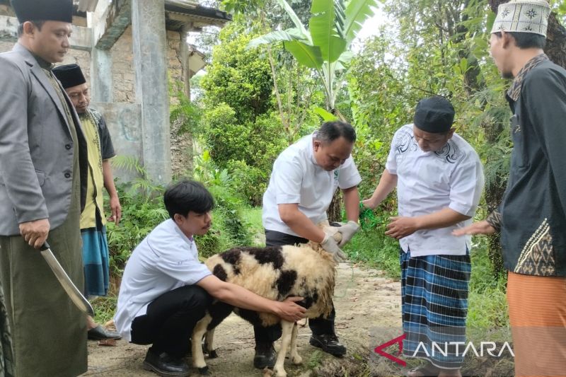 Periksa kesehatan hewan kurban, Pemkab Bogor kerahkan mahasiswa