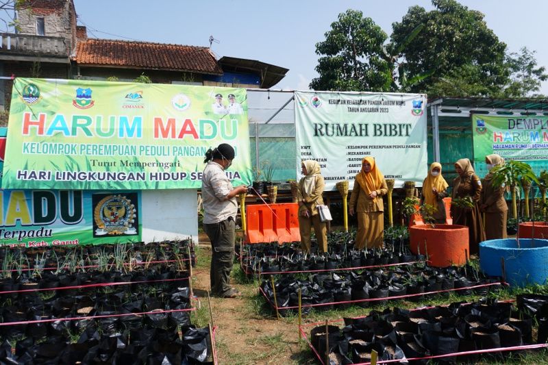 Pemkab Garut optimalkan program Harum Madu untuk jaga ketahanan pangan