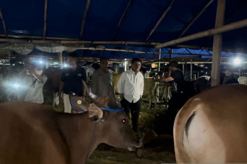 Mentan: Stok nasional hewan kurban aman usai sidak di Bogor