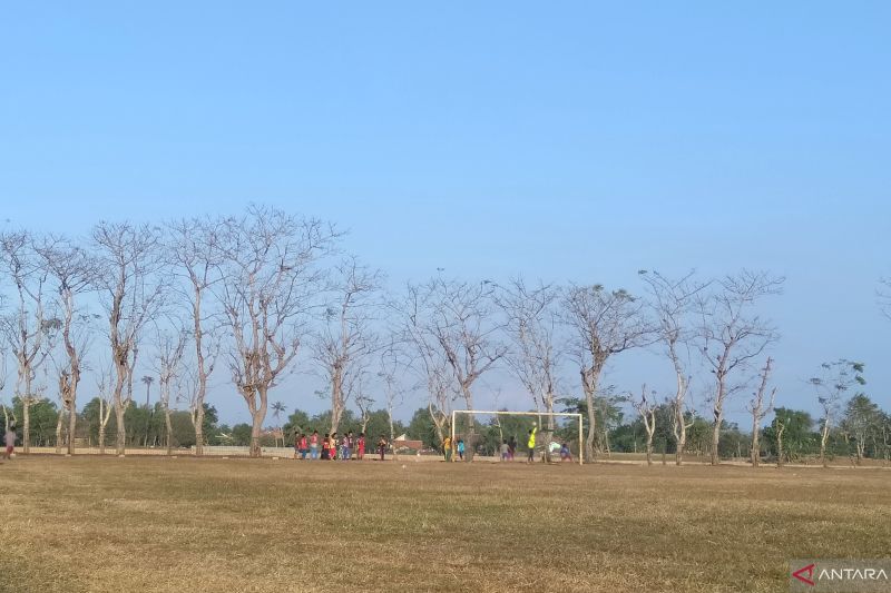 Dampak El Nino, Lima kecamatan di Karawang rawan kekeringan saat kemarau