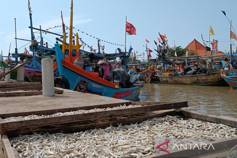 Produksi ikan tangkap triwulan I di Cirebon capai 8.142 ton