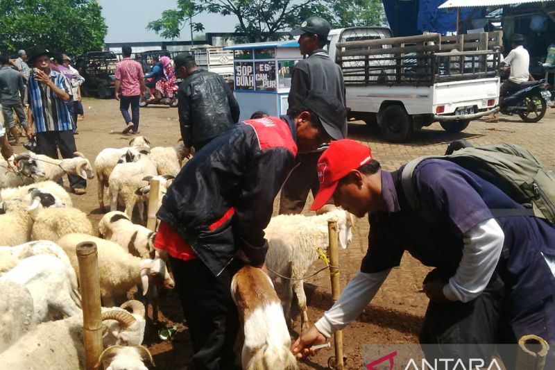 Penjualan hewan kurban di Purwakarta dipusatkan di pasar hewan