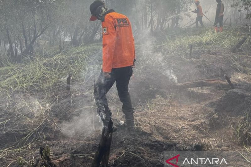 2.168 titik api karhutla di Kalimantan Selatan