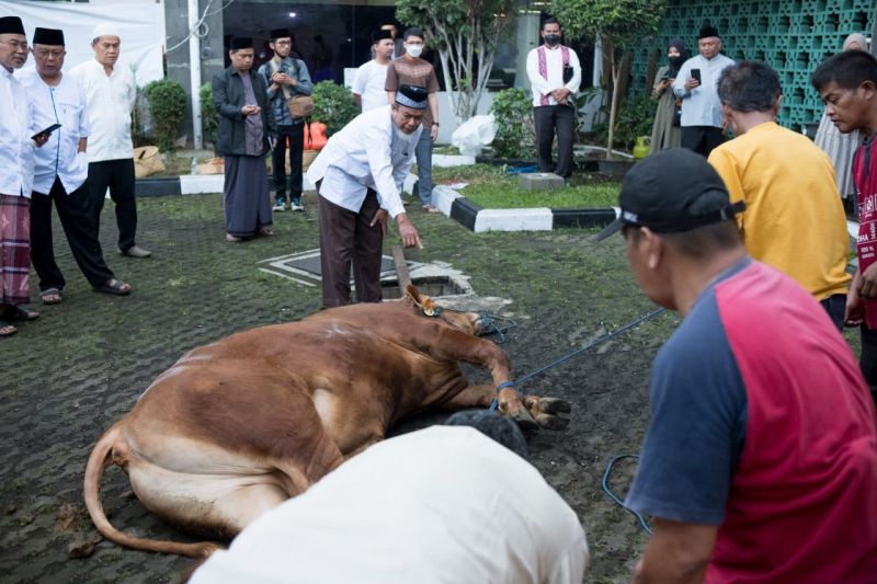 Pemkot Bandung yakini sampah kegiatan kurban bisa diantisipasi dengan baik