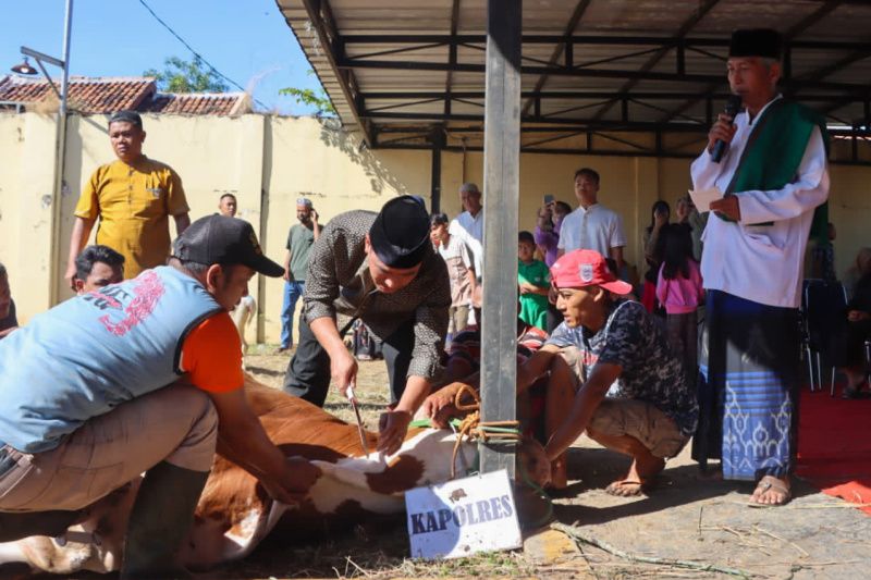 Polisi distribusikan puluhan hewan kurban ke pondok pesantren di Cirebon