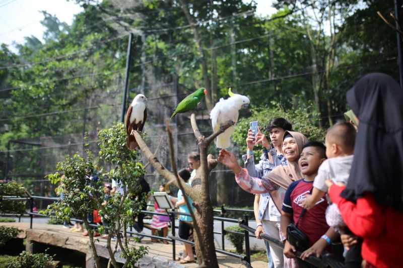 Libur Idul Adha, Kebun Binatang Bandung dikunjungi 1.000 wisatawan per hari