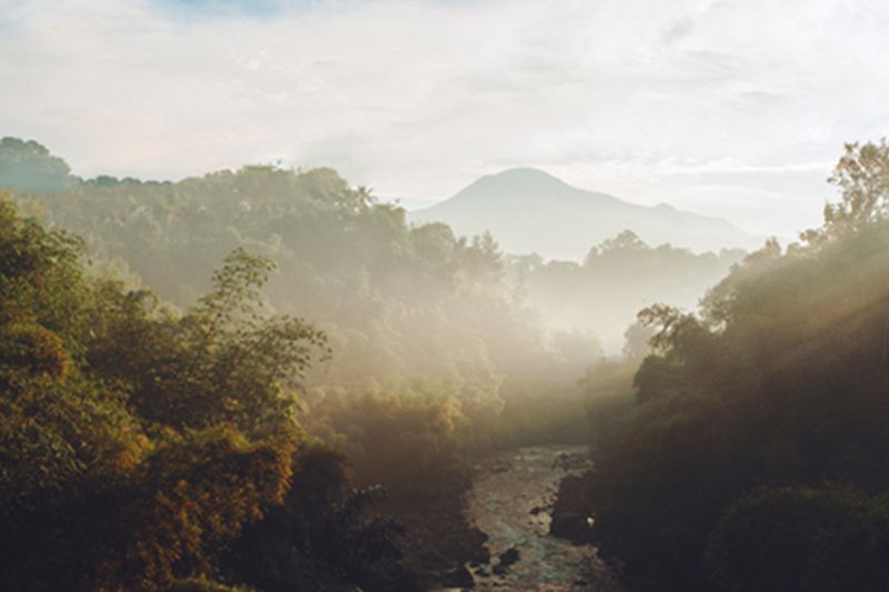 AstraZeneca announces $400 million investment in reforestation and biodiversity - Vimarsana News