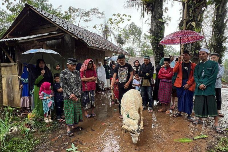 Idul Adha, JQR salurkan hewan kurban ke SLB dan komunitas disabilitas netra