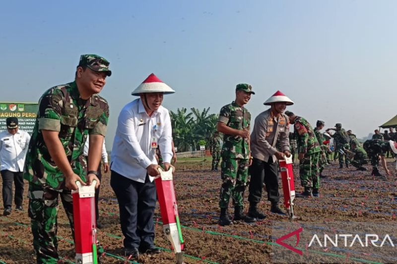 Pemkab Bekasi dan TNI AD tanam jagung jaga di lahan terpadu Wanajaya