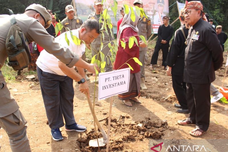 Bupati bersama warga tanam 346 pohon kayu keras di zona merah Cugenang Cianjur