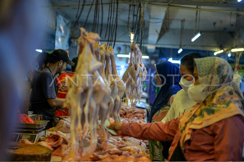 Kenaikan harga daging ayam di Bandung