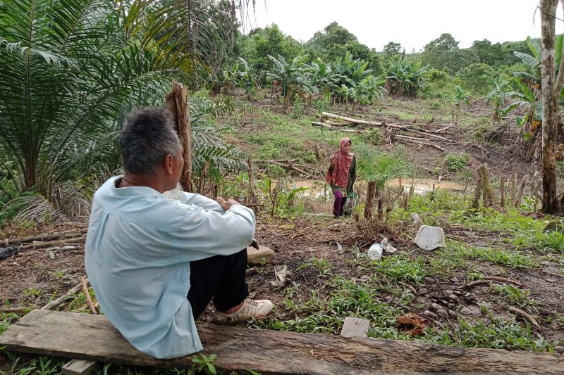 Nusantara development must involve locals: IKN Authority - Vimarsana News