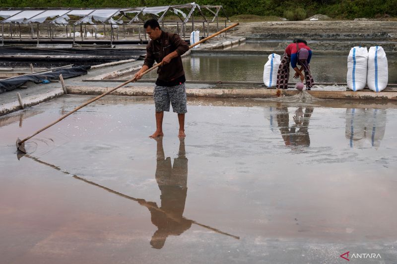 Ekonom nilai pemetaan kebutuhan dukung pengurangan impor garam