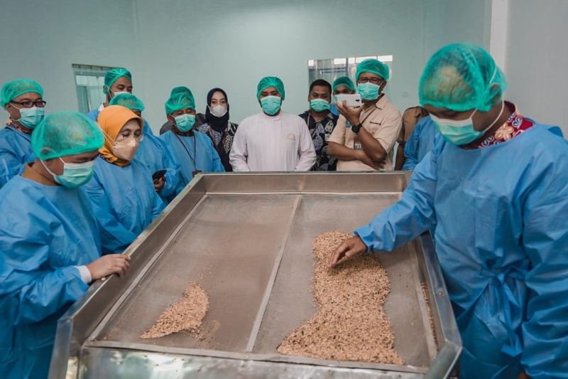 Govt improves Bangka pepper facility to boost IKM's added value - Vimarsana News