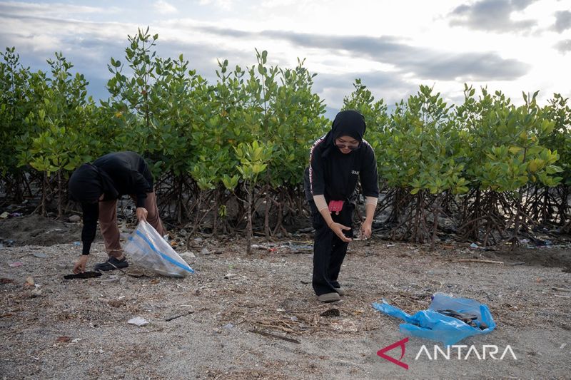 Pembersihan pantai di area konservasi mangrove