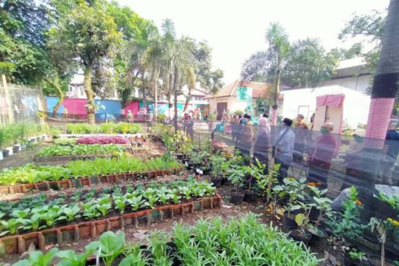 DKPP catat ada 375 titik pertanian kota di Kota Bandung