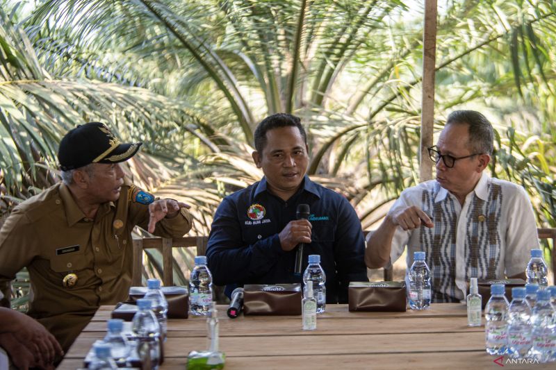 Dukungan pembiayaan petani kelapa sawit oleh OJK