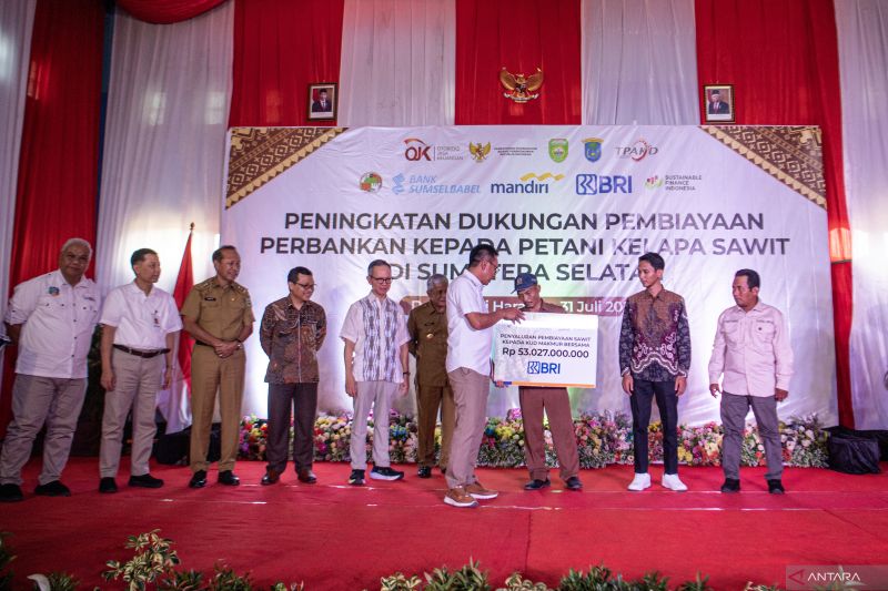 Dukungan pembiayaan petani kelapa sawit oleh OJK