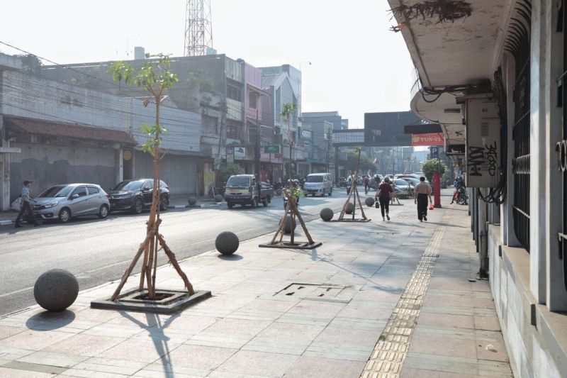 Pemkot Bandung tanam 100 pohon di Jalan Sudirman