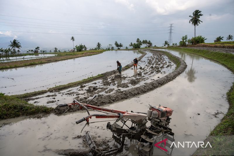 Gerakan tanam antisipasi dampak El Nino