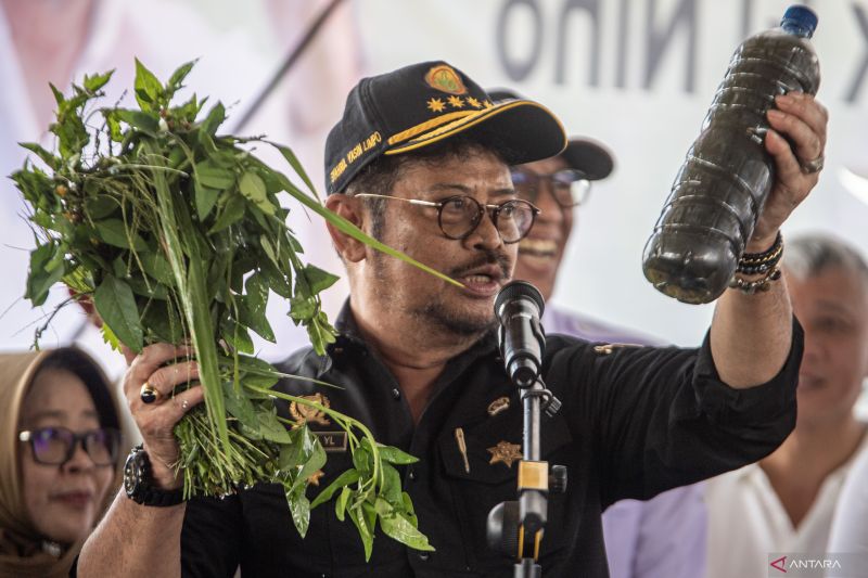 Mentan tinjau penanaman padi perdana Gernas El Nino