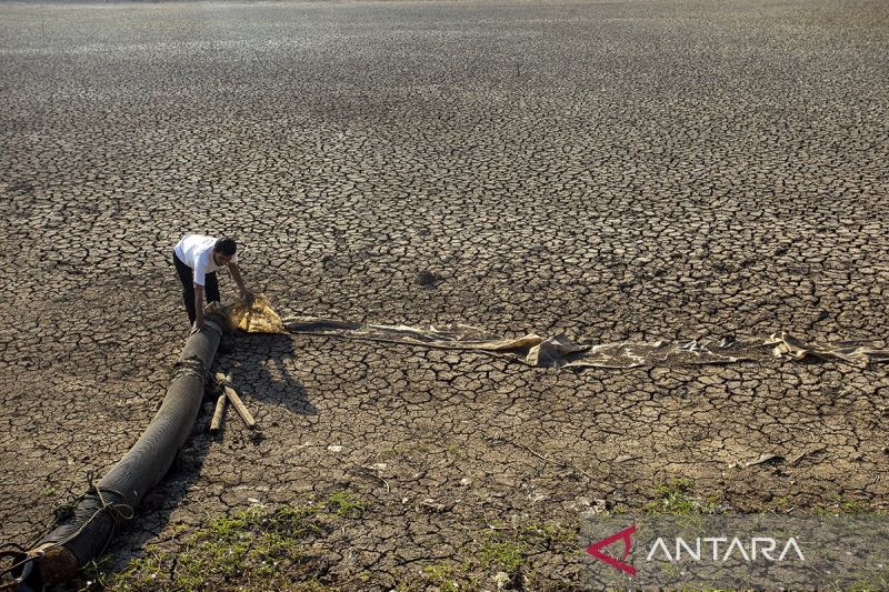 Pemerintah Siapkan Rp8 Triliun Atasi Kekeringan Dampak El Nino - ANTARA ...