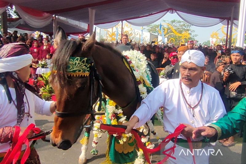 Rombongan kuda kosong ramaikan puncak hari jadi Cianjur