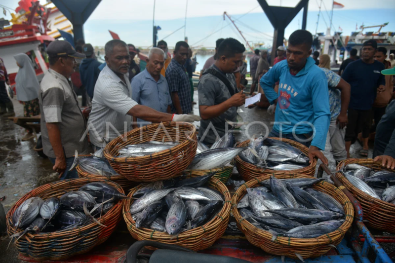 Ekspor perikanan Aceh ke tujuh negara