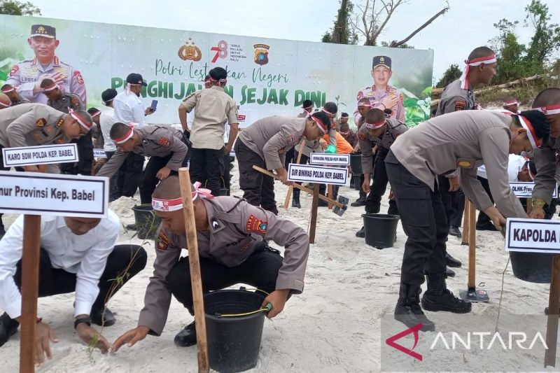 Lahan Bekas Tambang Timah Di Bangka Belitung Ditanami Bibit Pohon Antara News Bangka Belitung