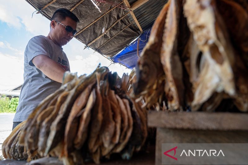 Cinderamata ikan asin kering di Banggai