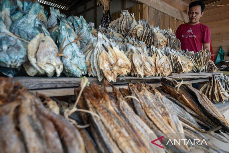 Cinderamata ikan asin kering di Banggai