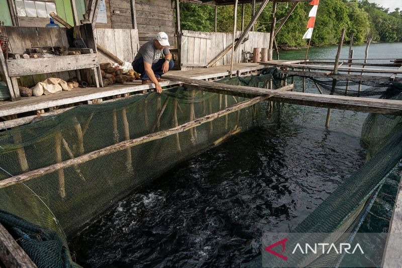 Wisata keramba ikan di Banggai Kepulauan