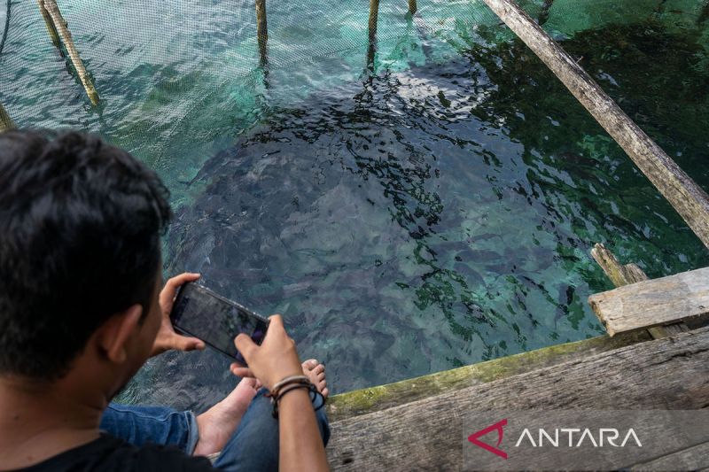 Wisata keramba ikan di Banggai Kepulauan