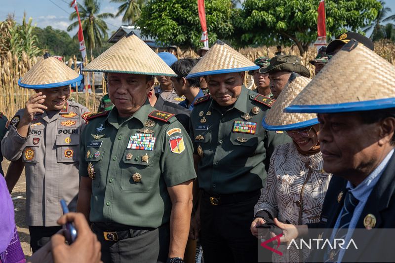 Pangdam XIII Merdeka panen jagung di Donggala