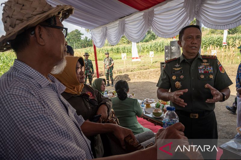 Pangdam XIII Merdeka panen jagung di Donggala