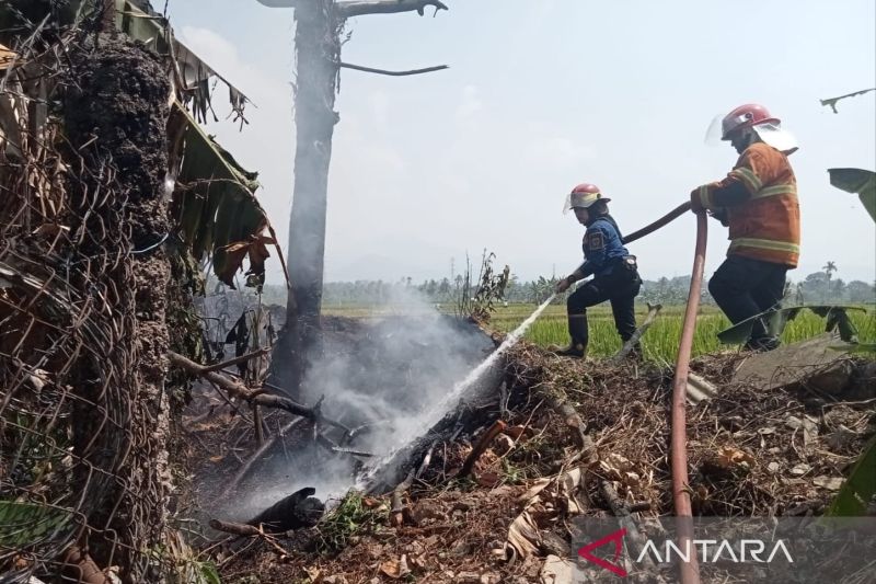 Damkar catat sebulan terakhir ada 22 kasus kebakaran lahan di Cianjur