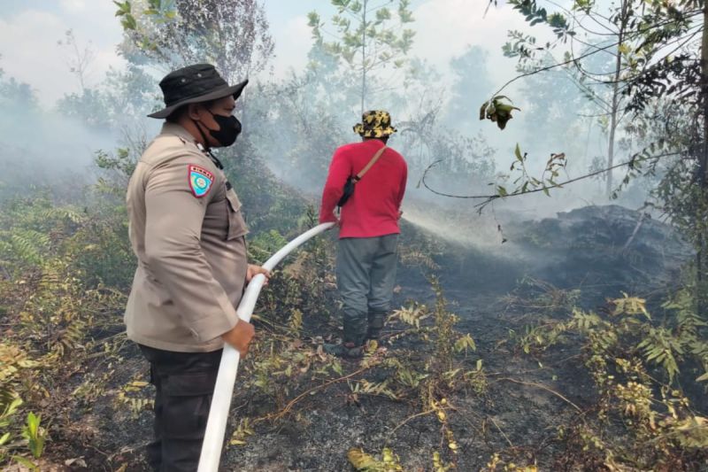 Karhutla Terjadi Di Palangka Raya Tanggung Jawab Bersama - ANTARA News ...