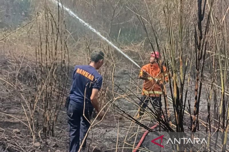 Selama Agustus terdapat 36 peristiwa kebakaran di Cianjur